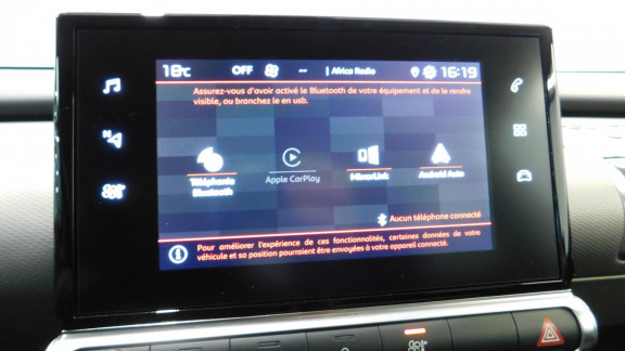CITROEN-C4 CACTUS-1.2 PureTech 12V - 110 S&S  Shine PHASE 2
